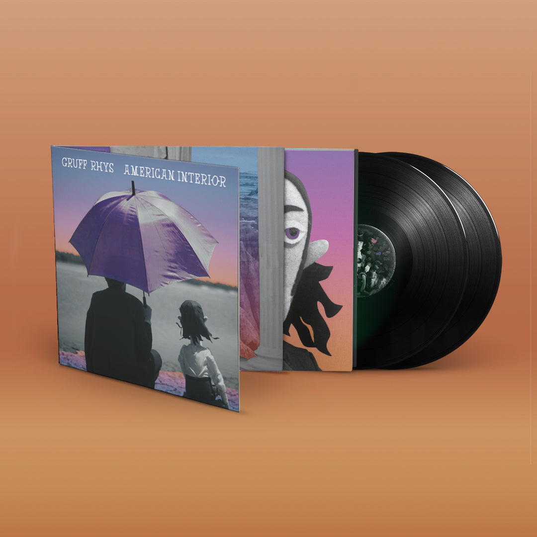 Gruff Rhys - American Interior double black vinyl album reissue