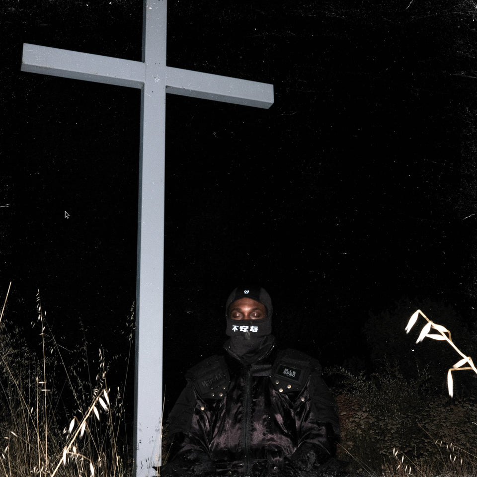 JPEGMAFIA - I Lay Down My Life for You vinyl album