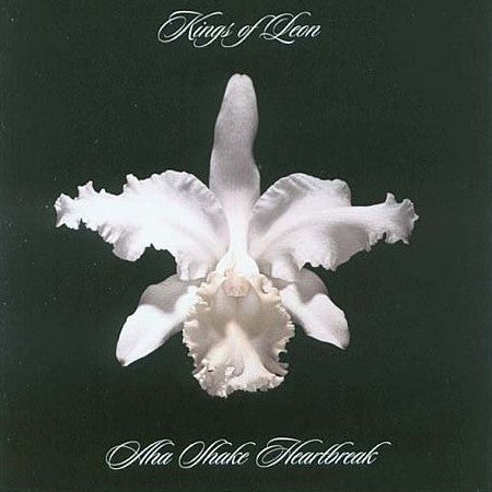 Kings Of Leon - Aha Shake Heartbreak vinyl LP