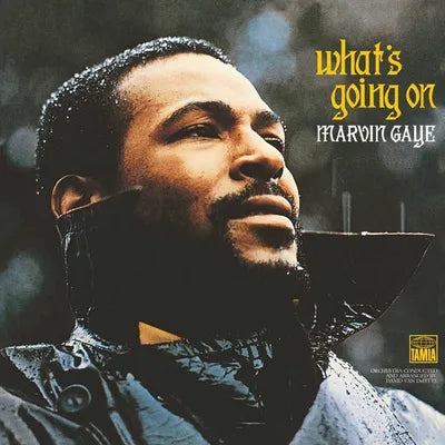 Marvin Gaye - What's Going On vinyl LP