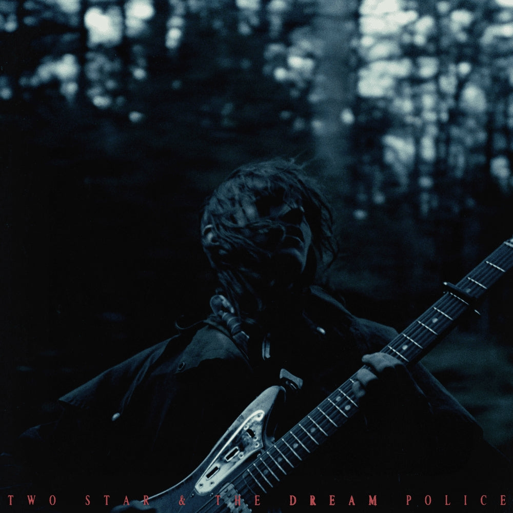 Mk.Gee - Two Star & The Dream Police album
