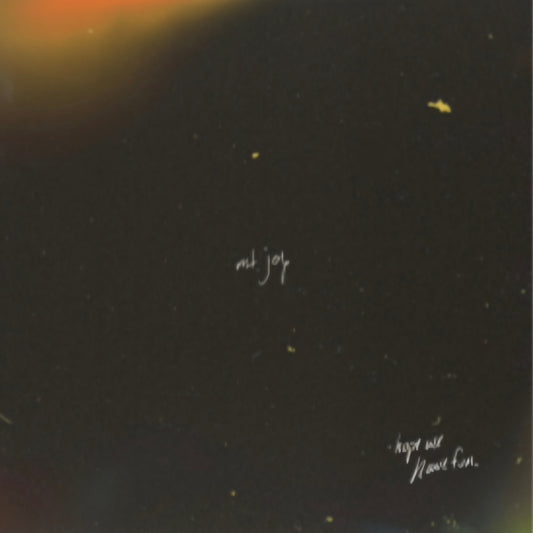 Mt. Joy Hope We Have Fun vinyl album cover