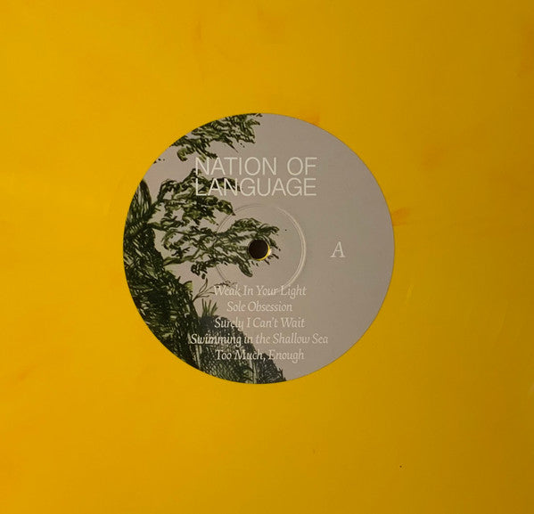 Nation Of Language - Strange Disciple