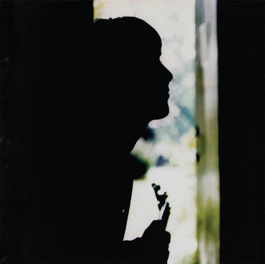 Paul Weller - Wild Wood vinyl LP