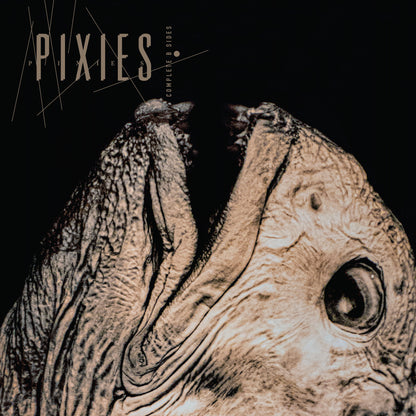 Pixies - Complete B-Sides: 1988-97 double album