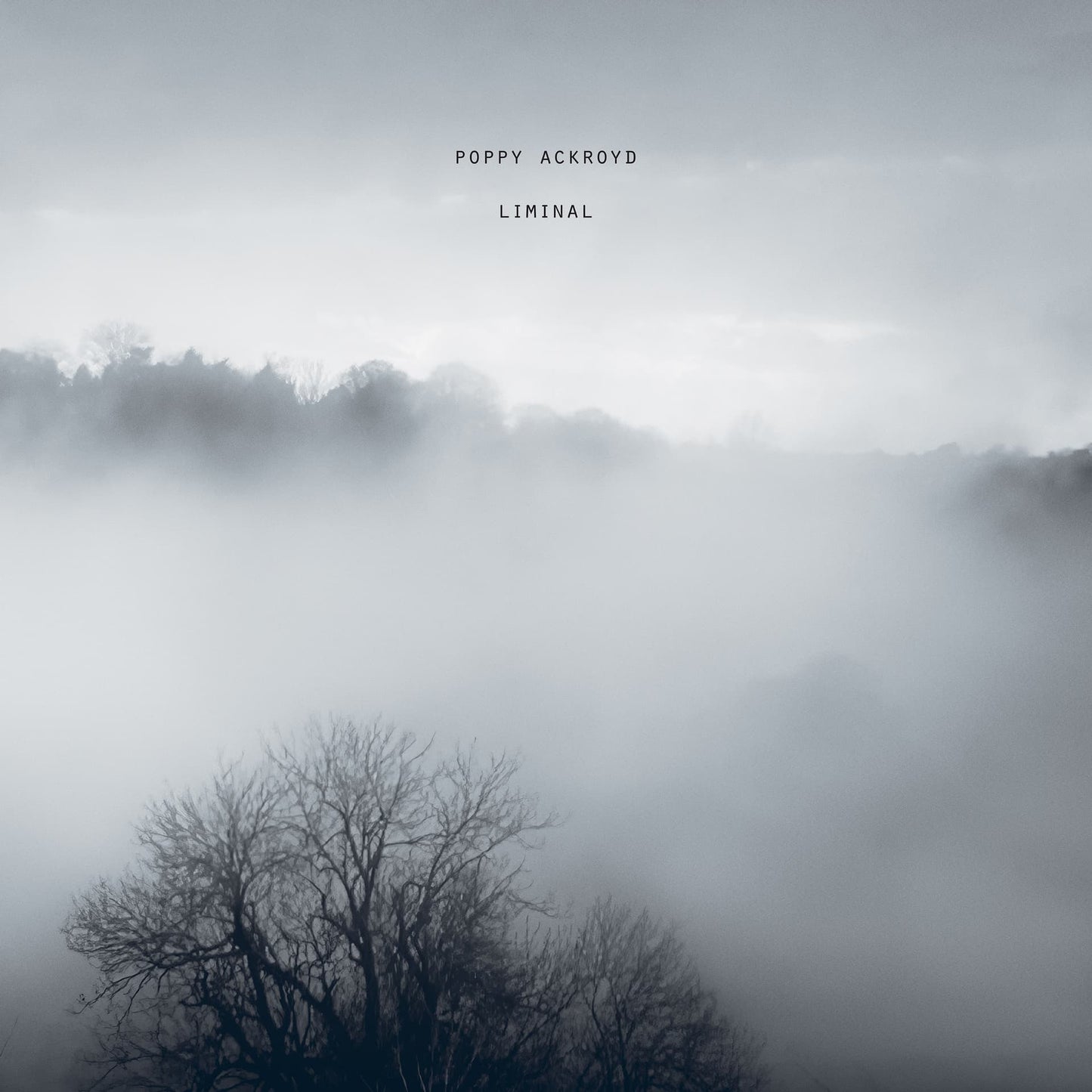 Poppy Ackroyd - Liminal - black vinyl LP