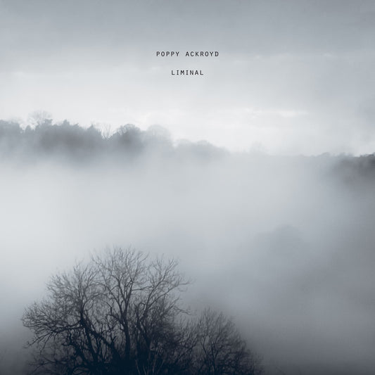 Poppy Ackroyd - Liminal - black vinyl LP