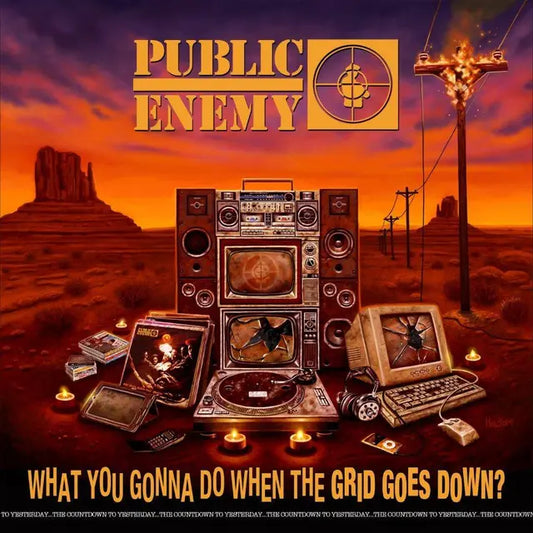 Public Enemy - What You Gonna Do When The Grid Goes Down vinyl LP