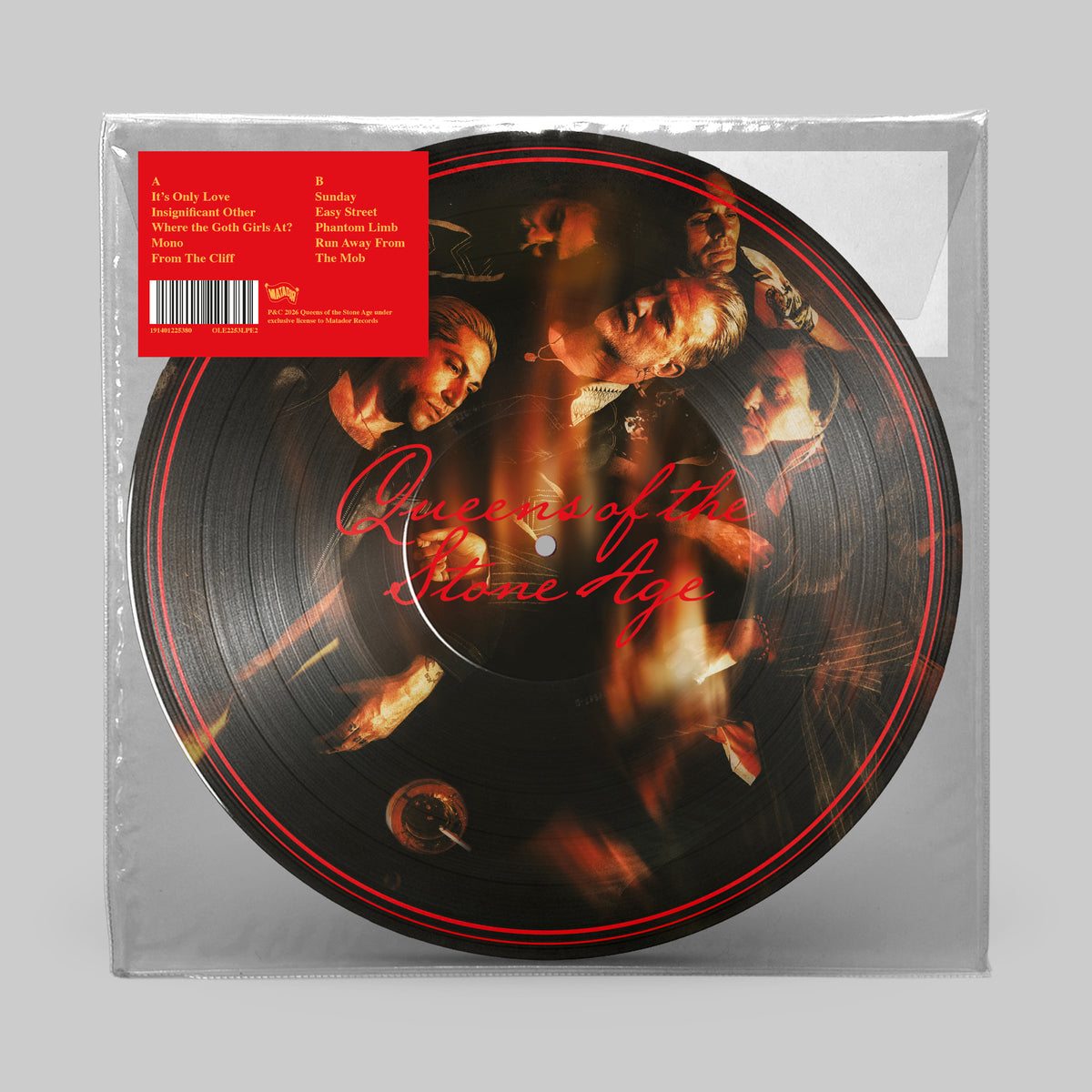 Queens of the Stone Age - Perfecth picture disc back