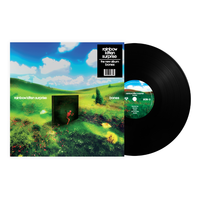 Rainbow Kitten Surprise - bones black vinyl LP