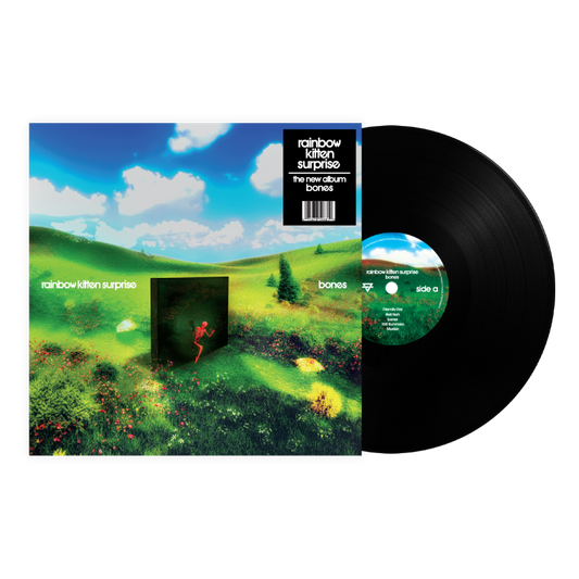 Rainbow Kitten Surprise - bones black vinyl LP