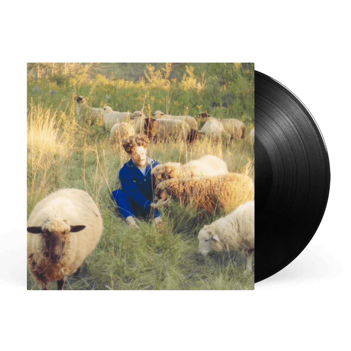 Resavoir - Themes for Dreams vinyl LP