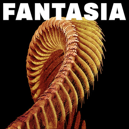 SLIFT - Fantasia - loser edition vinyl LP