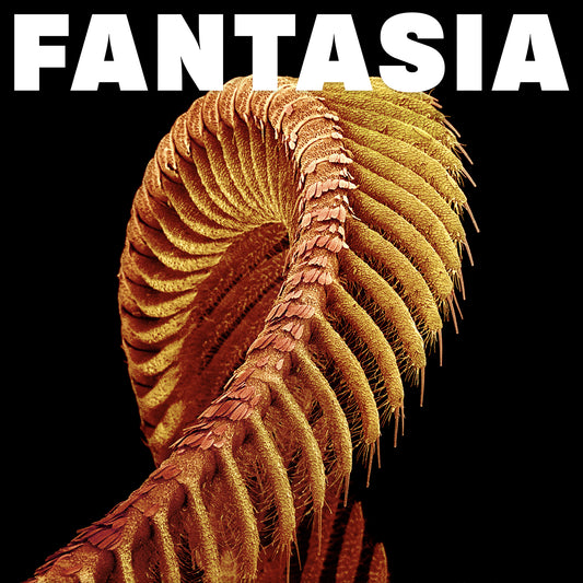 SLIFT - Fantasia - loser edition vinyl LP