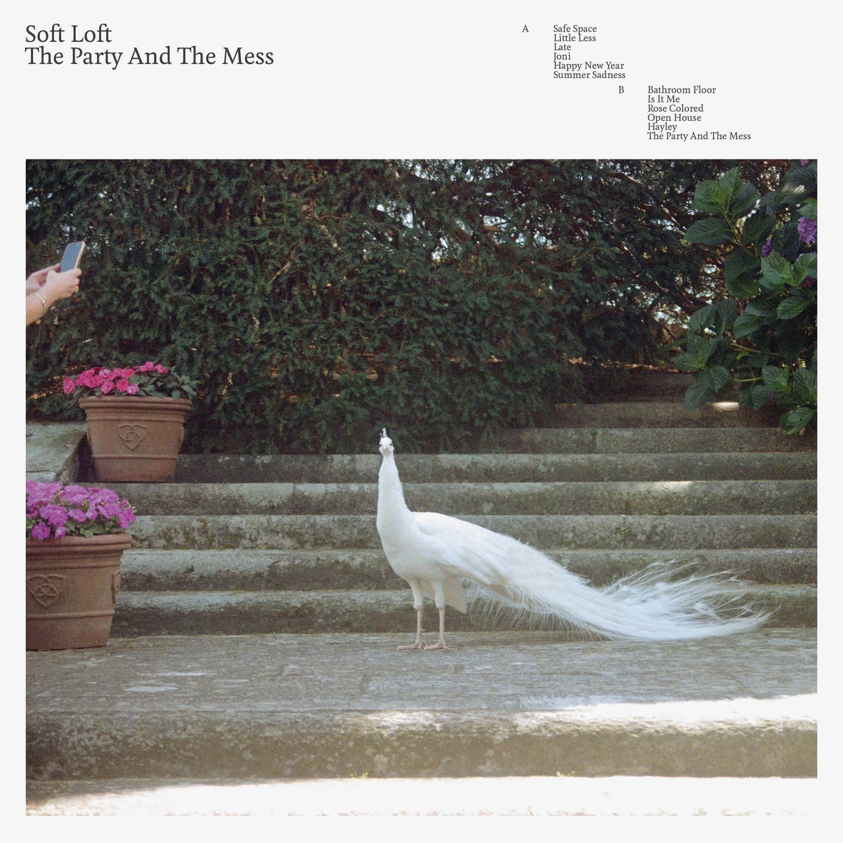 Soft Loft - The Party And The Mess ecomix vinyl LP