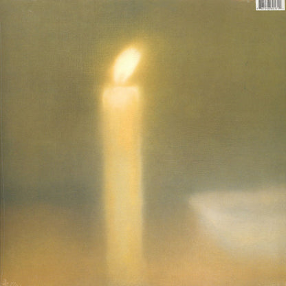 Sonic Youth - Daydream Nation double vinyl LP reissue back cover