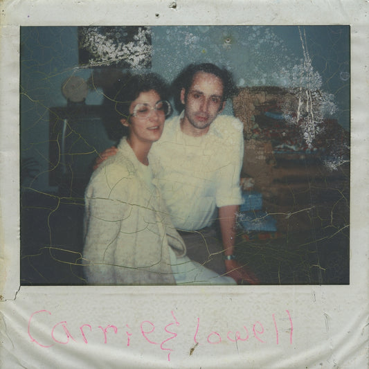 Sufjan Stevens Carrie and Lowell double LP reissue