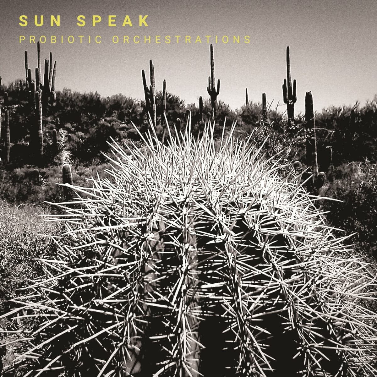 Sun Speak - Probiotic Orchestrations vinyl LP