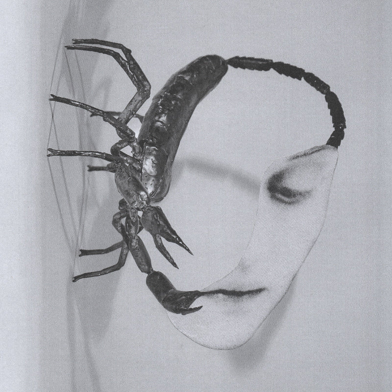 Tortoise - Touch vinyl LP