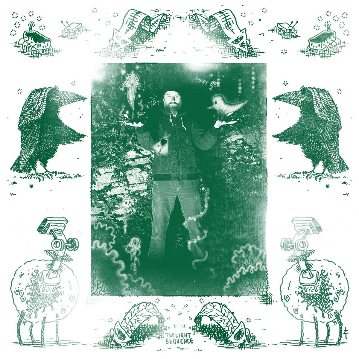 Twilight Sequence - Outline of Nature dolphin album