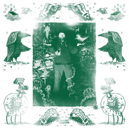 Twilight Sequence - Outline of Nature dolphin album