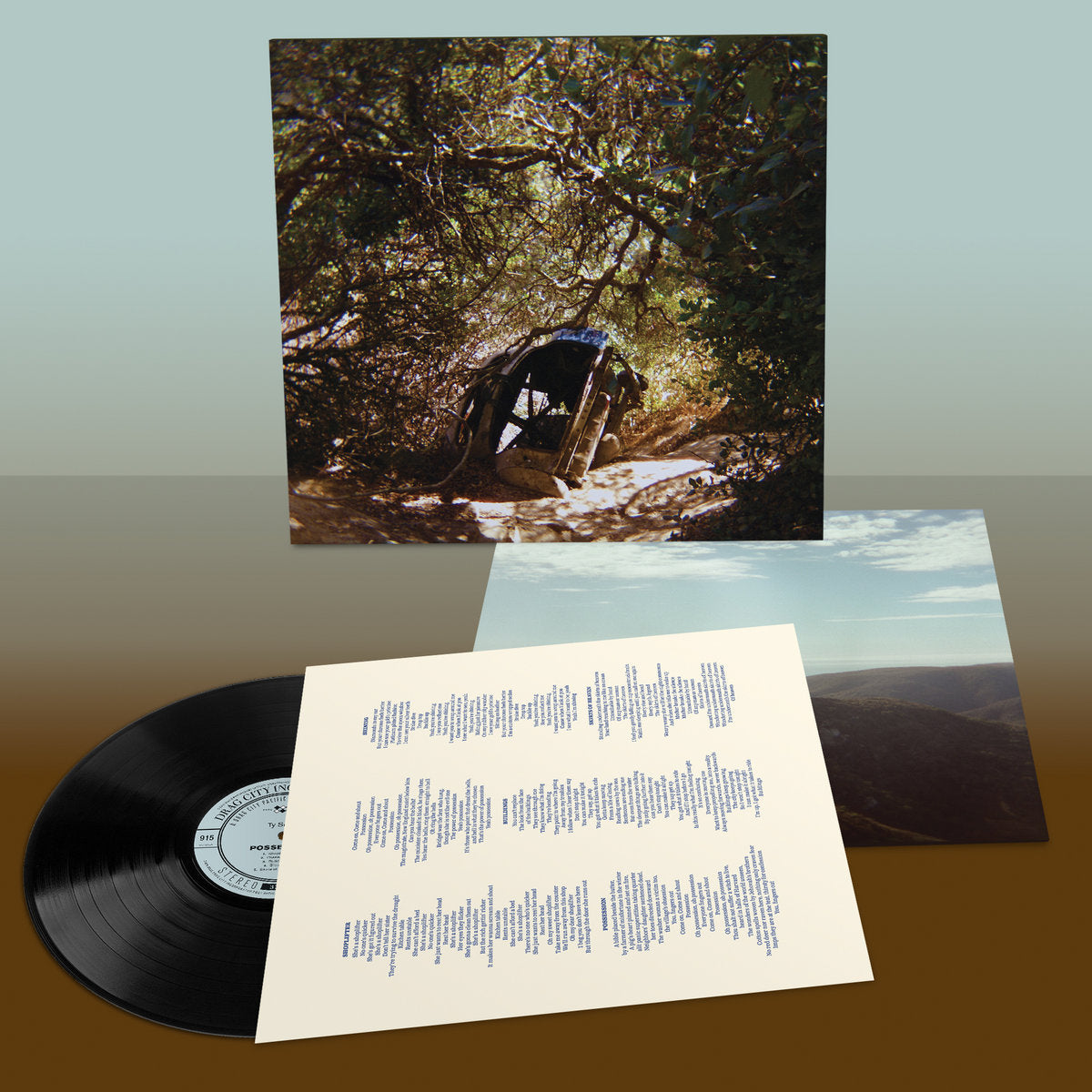 Ty Segall - Possession black vinyl LP
