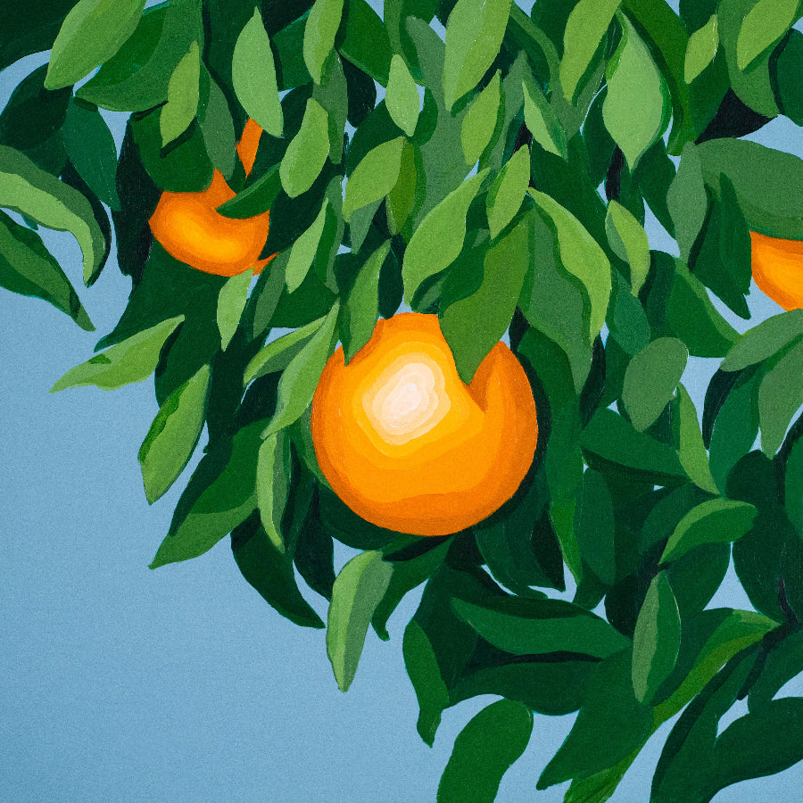 Tyler Ballgame - For the First Time, Again album