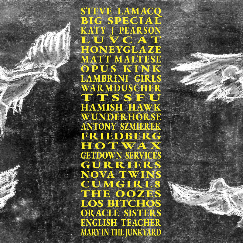 Various Artists - A Hideous Collective double vinyl LP