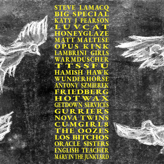 Various Artists - A Hideous Collective double vinyl LP