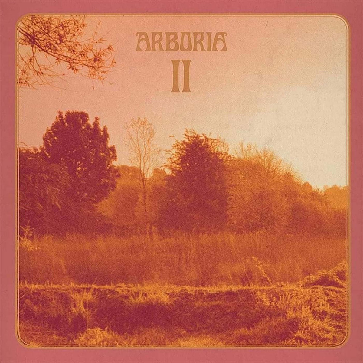 Arboria - II vinyl album