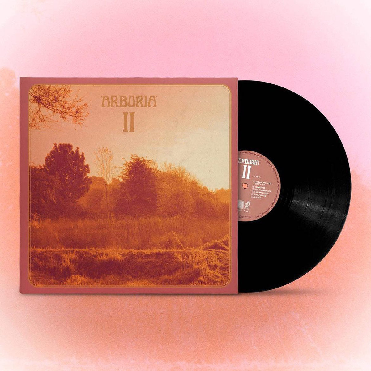 Arboria - II black vinyl album