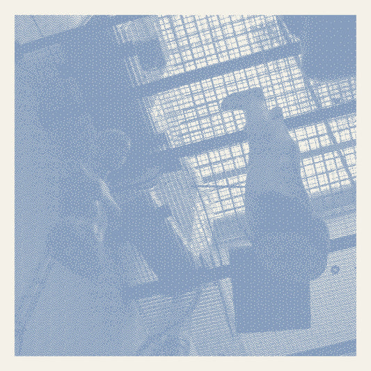 bdrmm Microtonic vinyl album