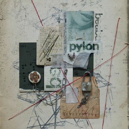 beabadoobee - Pylon - vinyl album