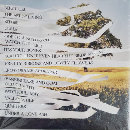 Bibio - Ribbons