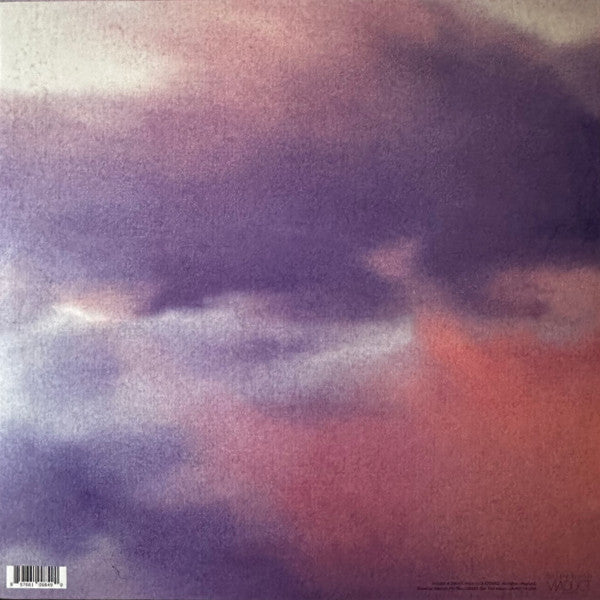 cLOUDDEAD - cLOUDDEAD vinyl LP