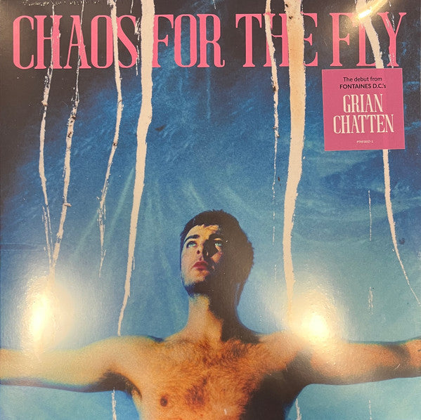 Grian Chatten - Chaos For The Fly vinyl album