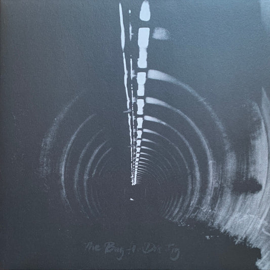 The Bug Ft. Dis Fig - In Blue vinyl album