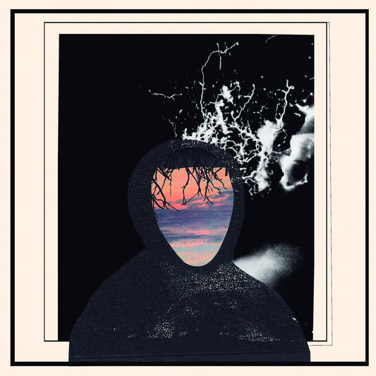 doseone and Steel Tipped Dove - All Portrait, No Chorus vinyl LP