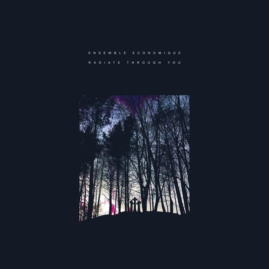 Ensemble Economique - Radiate Through You vinyl