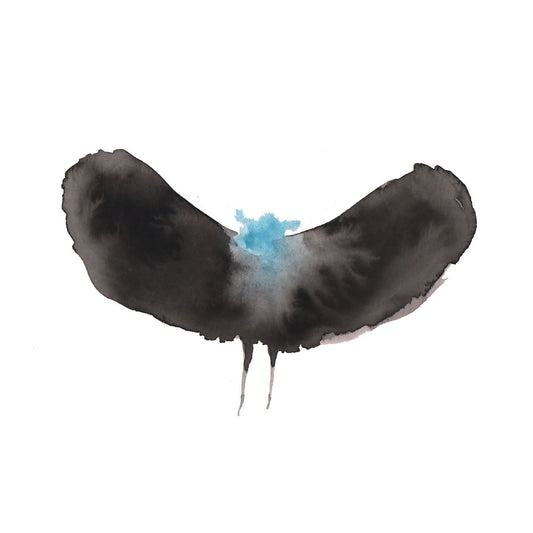 HAYWARDxDÄLEK vinyl album