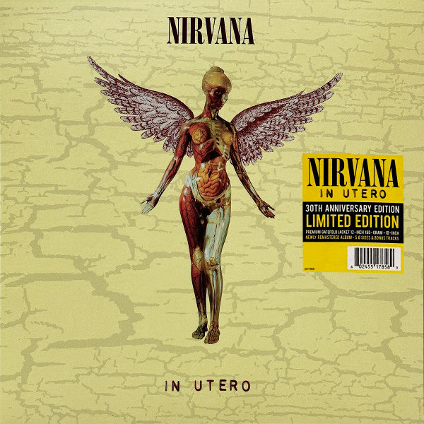 In Utero