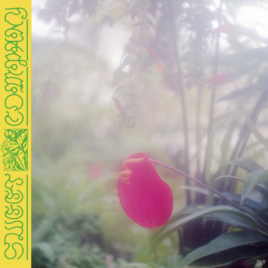 Jabu - Sweet Company vinyl album