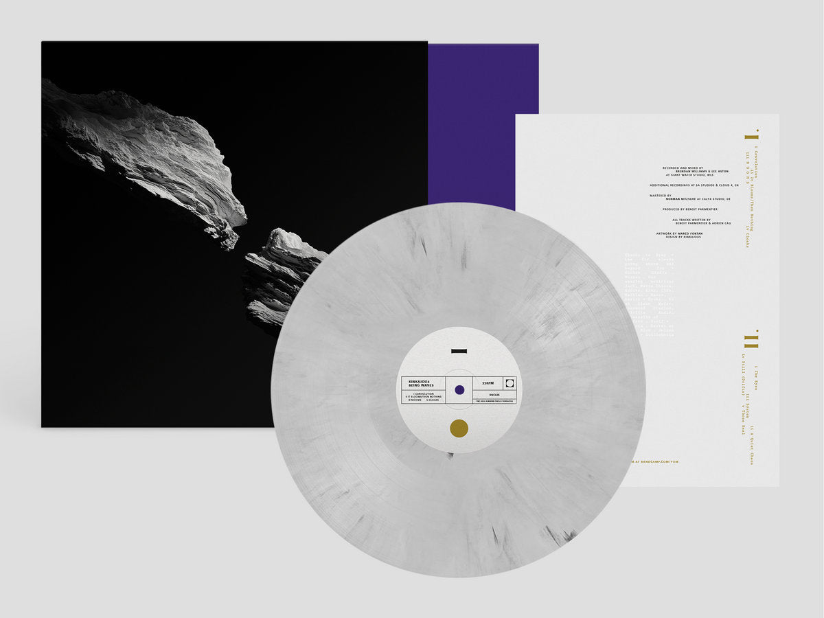 Kinkajous - Being Waves black and white marble vinyl album