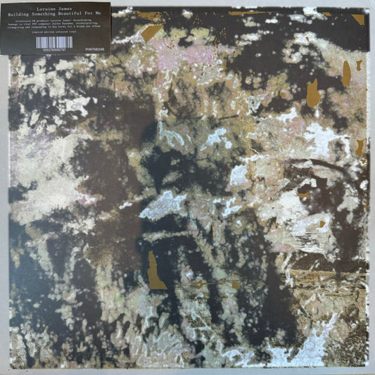 Loraine James - Building Something Beautiful For Me vinyl album