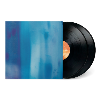 lovesliescrushing - Xuvetyn black double vinyl LP