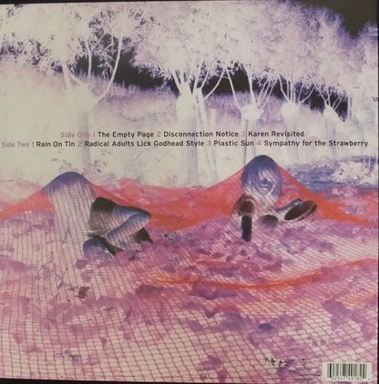 Sonic Youth - Murray Street