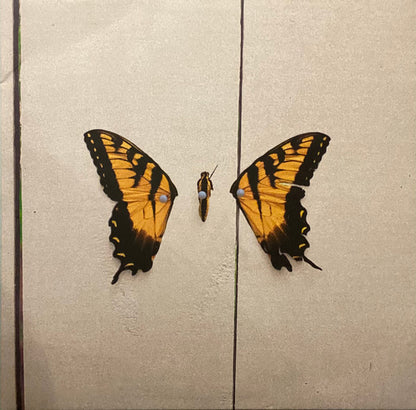 Brand New Eyes