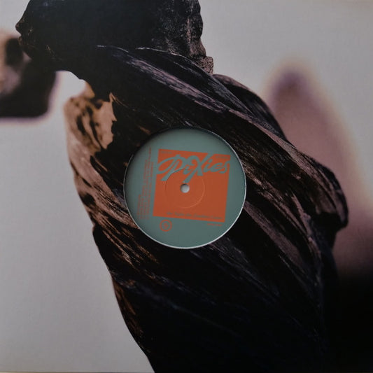 Pixies - The Night The Zombies Came vinyl album