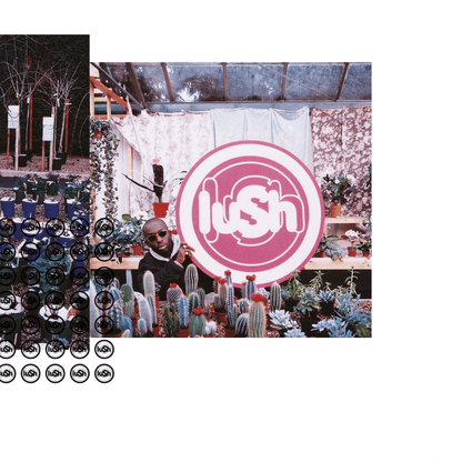 Lush Lovelife vinyl LP