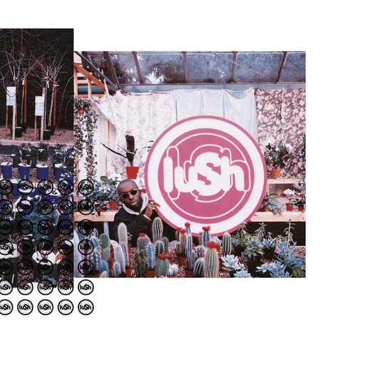 Lush Lovelife vinyl LP